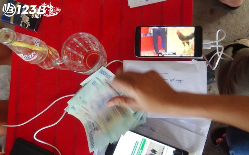 Anh em nhập môn nên cược vừa phải