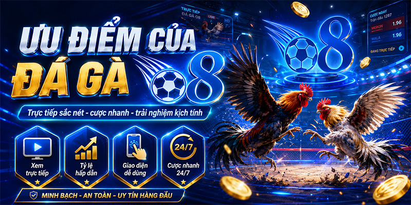 Ưu điểm của đá gà O8